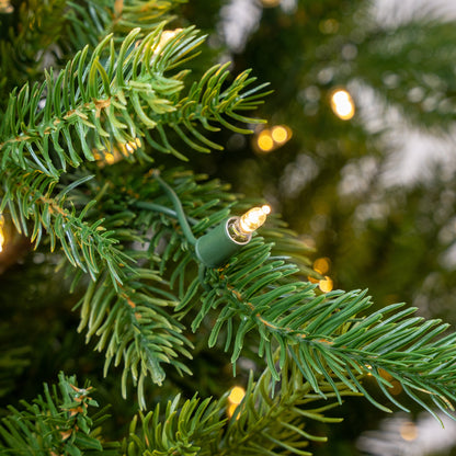 Telluride Fir Tree Pre-Lit Multi Color LED Lights